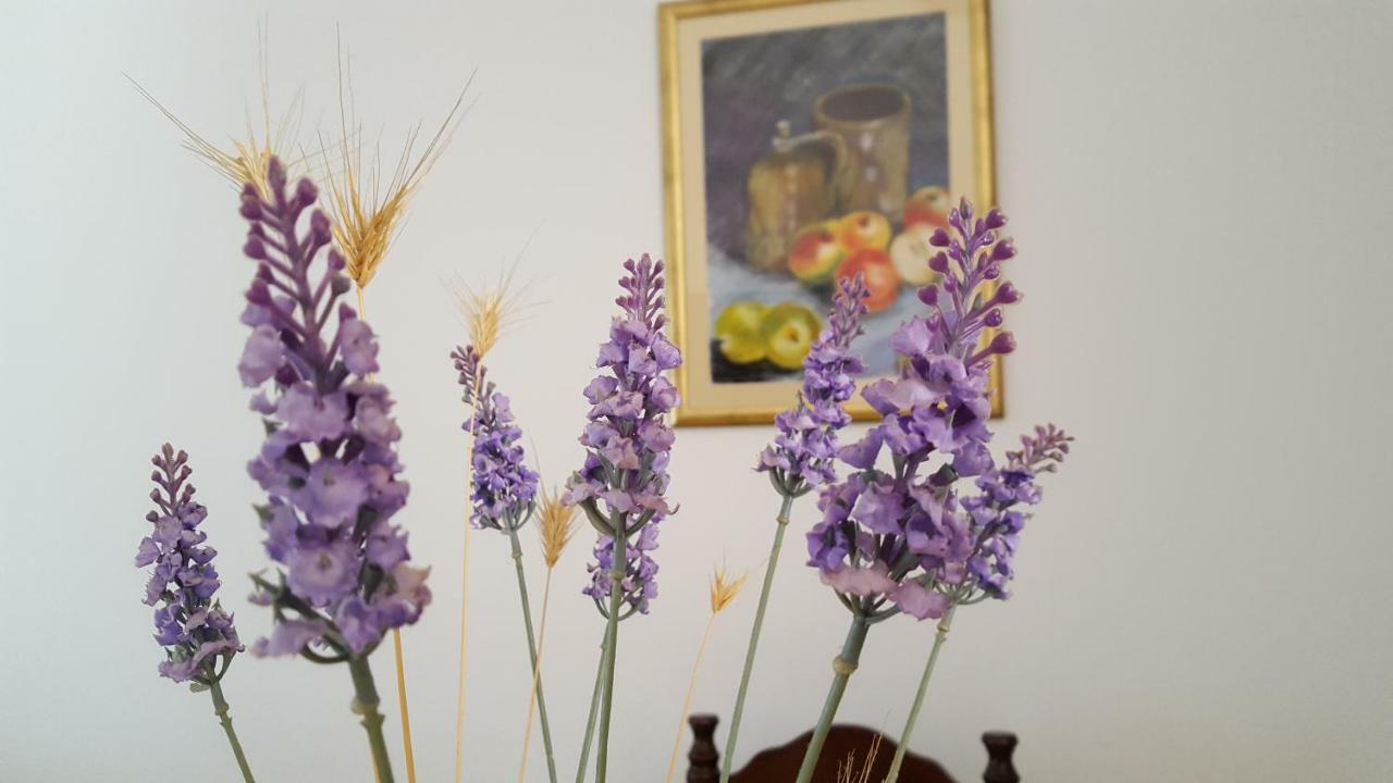 Bevanda Pola Esterno foto