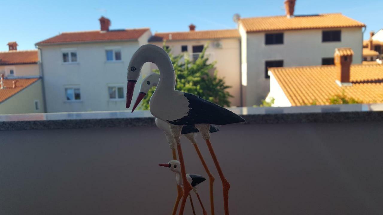Bevanda Pola Esterno foto
