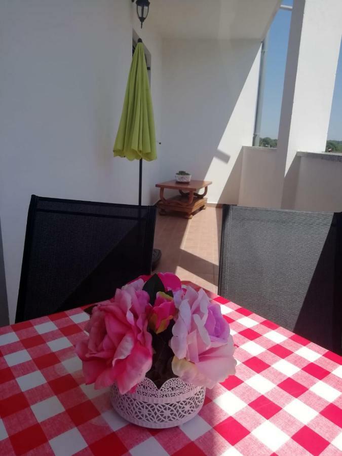 Bevanda Pola Esterno foto