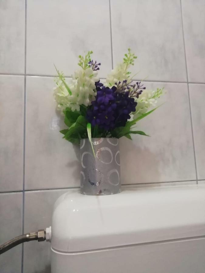 Bevanda Pola Esterno foto